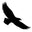 Bald Eagle Area Association logo